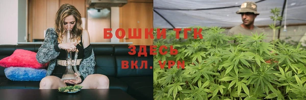 кокс Бородино