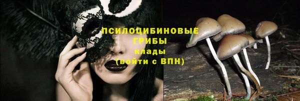 прущие грибы Бугульма