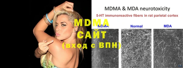 прущие грибы Бугульма