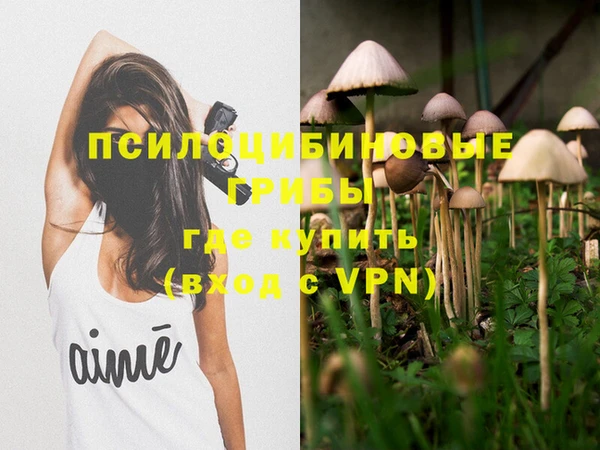прущие грибы Бугульма