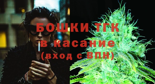 прущие грибы Бугульма