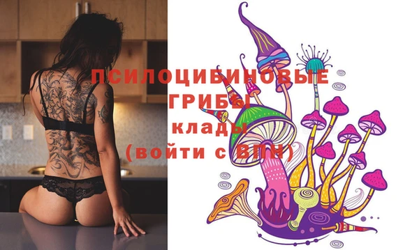 кокс Бородино