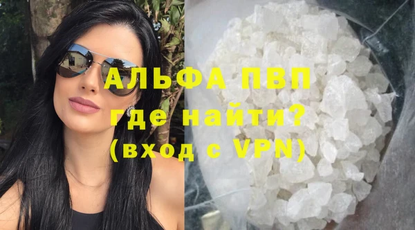 прущие грибы Бугульма