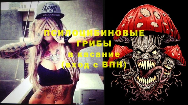 кокс Бородино