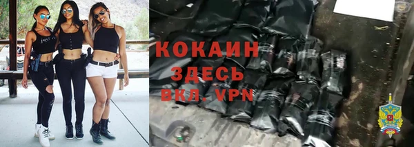 прущие грибы Бугульма