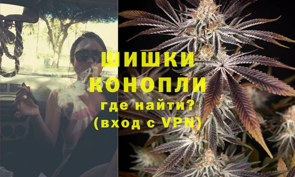 прущие грибы Бугульма