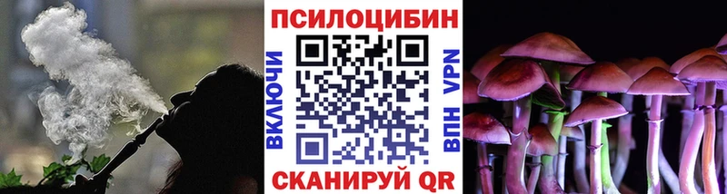 Псилоцибиновые грибы прущие грибы  Дедовск 